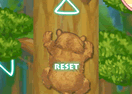 My Kind Bear